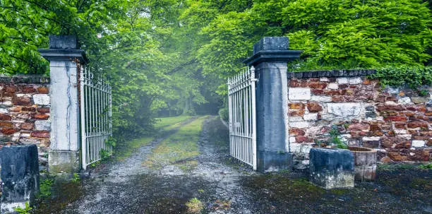 Photo of Open iron gate to the forest.