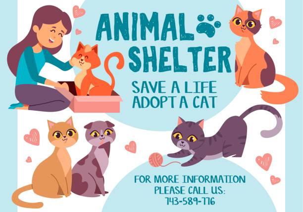 Pet adoption poster with colourful animals Pet adoption poster with colourful animals vector illustration. Animal shelter flat style. Girl stroking red cat. Heart decor. Save life adopt cat concept. Isolated on blue background animal shelter stock illustrations