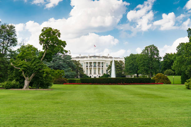 istock The White House in Washington DC 1249844500