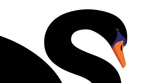 schwarzer schwan. das symbol der krise des wirtschaftlichen zusammenbruchs. weißer hintergrund. - black swan stock-grafiken, -clipart, -cartoons und -symbole