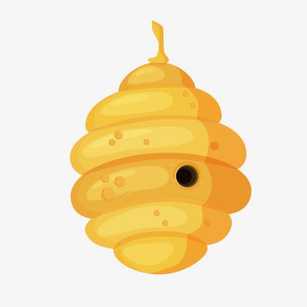 Yellow bee hive in cartoon style.Full of fresh honey Yellow bee hive in cartoon style. Full of fresh honey. Oval-ribbed with a round central entrance. Bee hive graphics on an isolated white background. hornet swarm stock illustrations