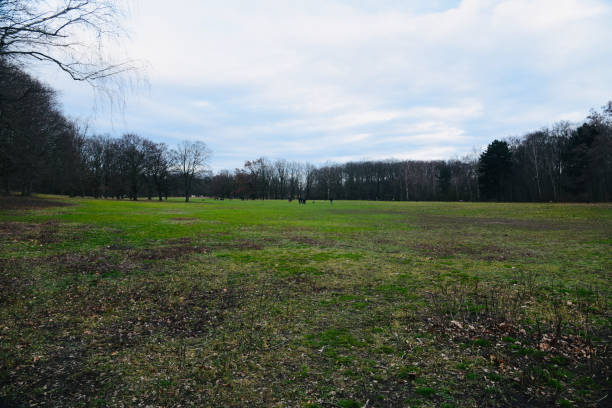 istock Green grasses and trees around an open field in Berlin Germany 1249847950