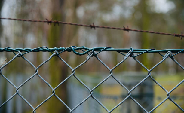 grüne metalldrähte eines schutzzauns an einem ort - green fence chainlink fence wall stock-fotos und bilder