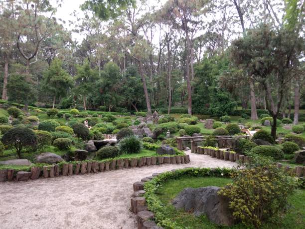 istock Garden Japanese 1249849431