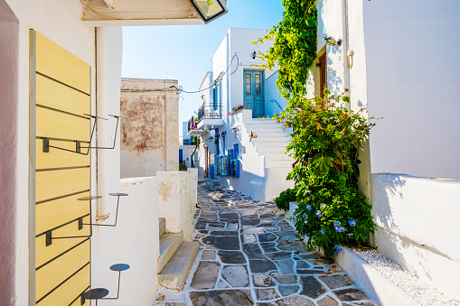 Quiet traditional street of Lefkes village with white houses and green plants, Paros, Greece