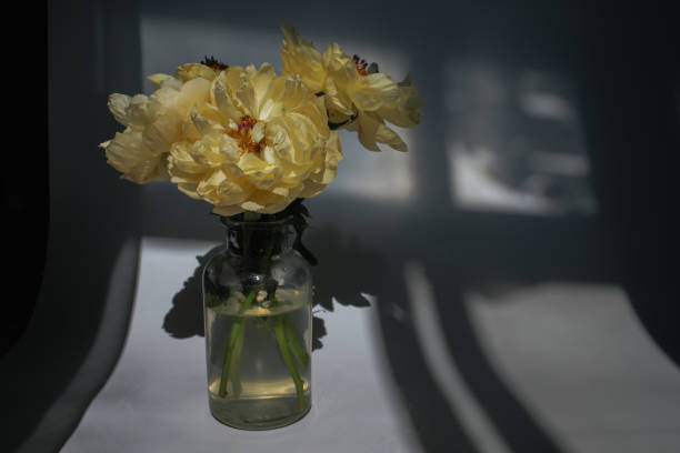istock wilted bouquet of white peonies 1249854848