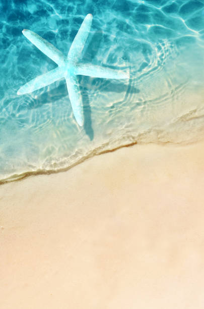 istock Summer sand beach background. Starfish and sea. Summer concept. 1249856092