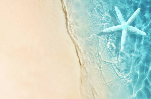 istock Summer sand beach background. Starfish and sea. Summer concept. 1249856130