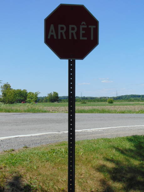 istock Stop sign on metal rod in vertical 1249857824