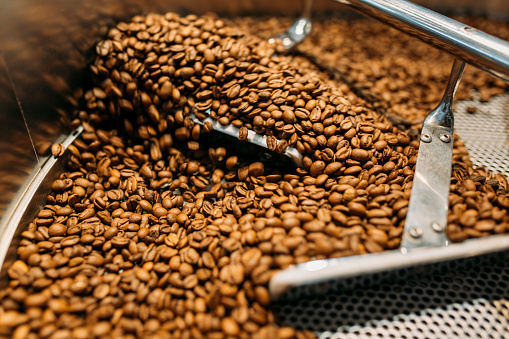 Coffee roaster cooling batch of beans