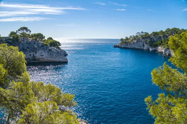Panoramic view of Calanque de Port Pin in Calanques National Park, Marseille, Cassis, Provence, France.
