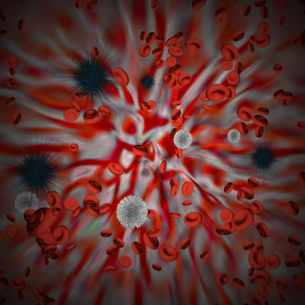 células do vírus - human blood vessel human cardiovascular system cell blood cell - fotografias e filmes do acervo