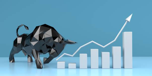 istock Successfull Investment Strategy 1249865476