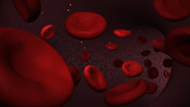 istock Red blood cells in the artery. 3d illustration. 1249866244