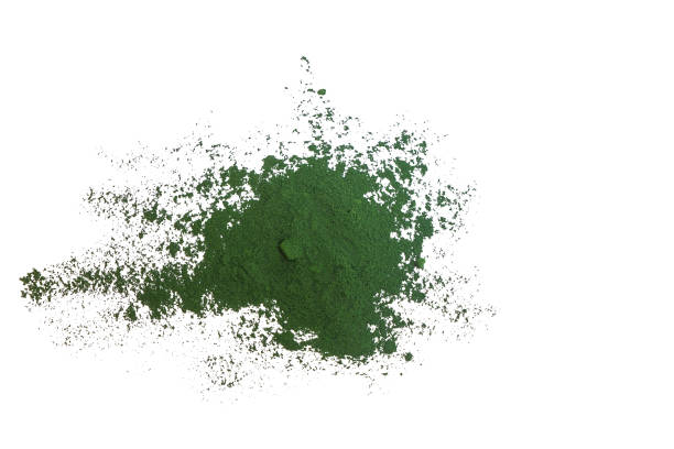 polvo de espirulina - algas, suplemento nutricional aislado sobre fondo blanco - chlorella spirulina bacterium algae nutritional supplement fotografías e imágenes de stock