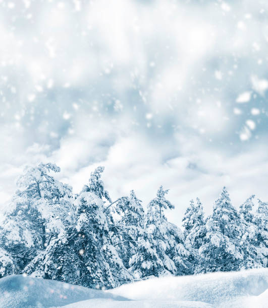 istock Frozen winter forest with snow covered trees. outdoor. Falling snowflakes 1249869844