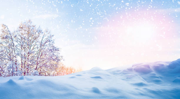 istock Frozen winter forest with snow covered trees. outdoor. Falling snowflakes 1249869881