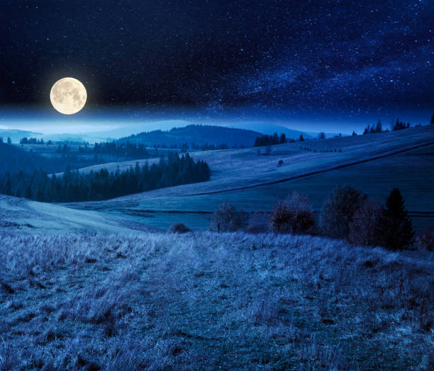 istock forest in red foliage at autumn night 1249869948