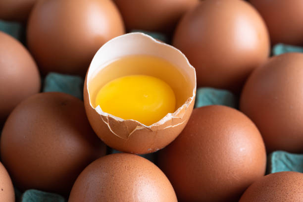 istock Chicken eggs broken in the middle of other eggs. 1249871076