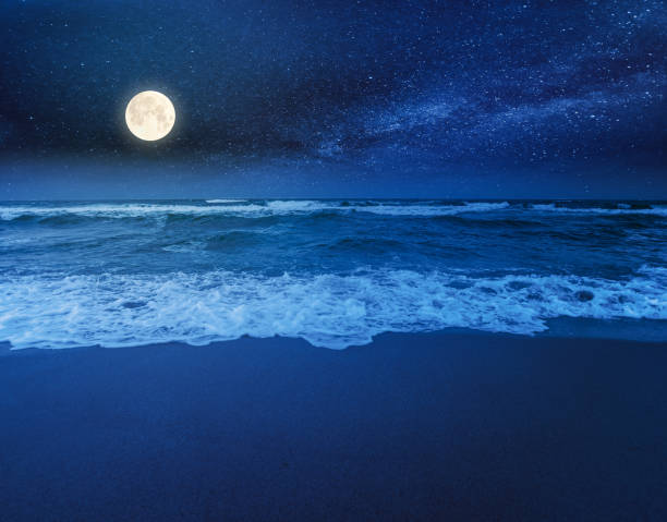 istock beach and sea on a cloudy night 1249871375