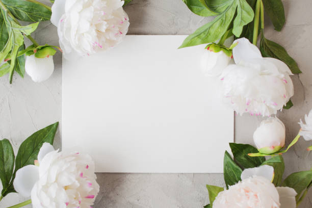 istock Stylish minimalist design with white peony on a gray background texture of cement. 1249872221