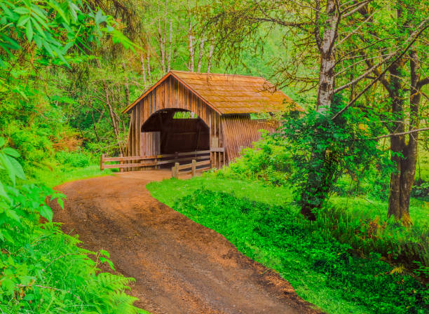 istock North Fork Covered Bridge Yachats,  in Oregon hides amongst deep foliage. 1249874003