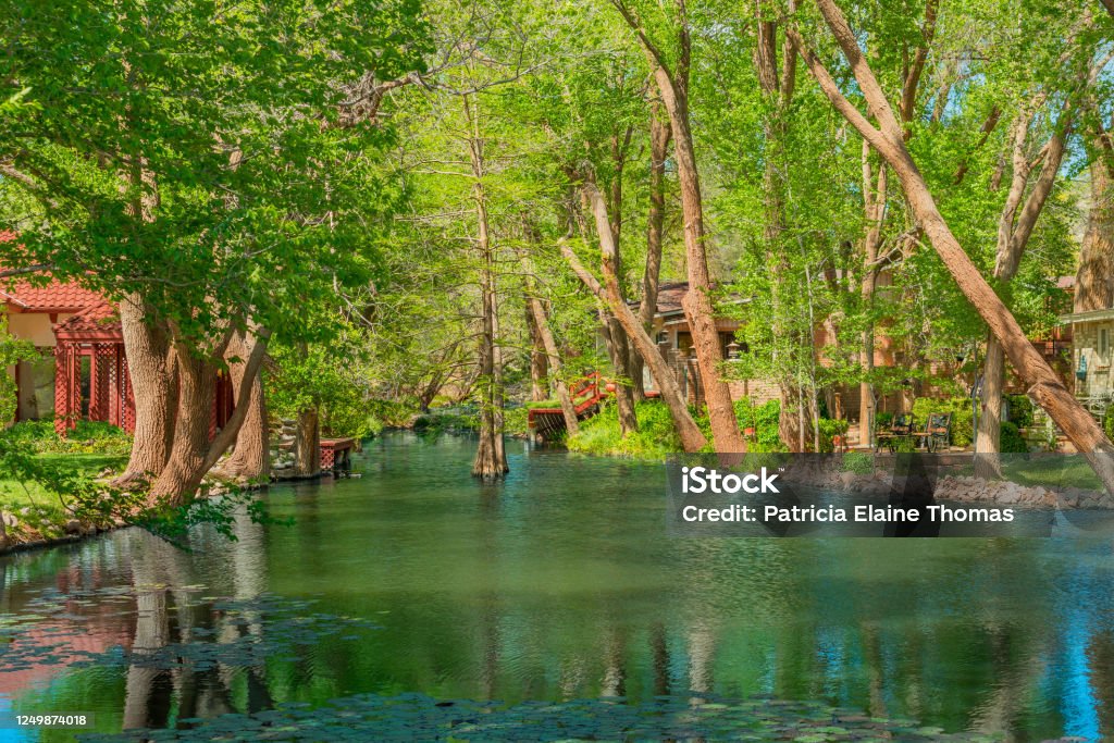 A small hideaway lake in Ransom Canyon in Texas is lined with homes. A cool pond area stands between houses in Lake Ransom Canyon in Texas. The trees and foliage reflects in the lily pad covered water. Lubbock Stock Photo