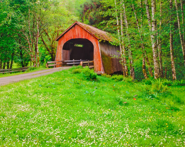 rustykalny zadaszony most strzeże odległej drogi w yachats w stanie oregon - covered bridge zdjęcia i obrazy z banku zdjęć