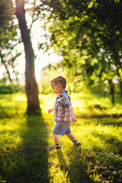 istock Toodler boy walking through forest park on a sunny day 1249874328