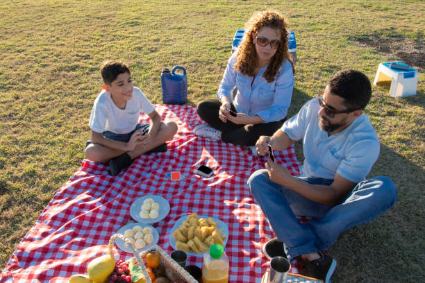 istock family picnic on the grass playing cards 1249875441