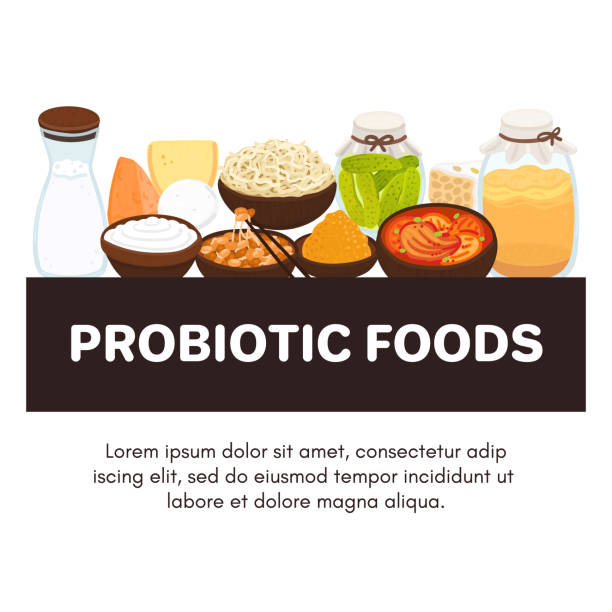 Vector probiotic foods. Best sources of probiotics. Beneficial bacteria improve health. Design is for label, brochure Vector probiotic foods. Best sources of probiotics. Beneficial bacteria improve health. Design is for label, brochure, menu, poster, advertising banner, article about diets, healthy proper nutrition kombucha jar stock illustrations