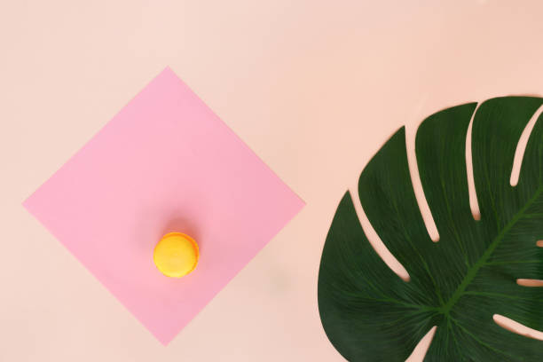 istock Flat lay composition with one yellow macaroon lying on a pink paper square. On the right is the tropical leaf of the monstera. Objects on a light pink background with paper texture. Handmade sweets concept made from natural ingredients. Gift Set. Top view 1249878255