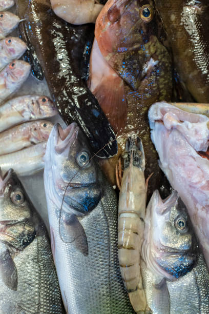 istock Seafood on ice at the fish market 1249880473
