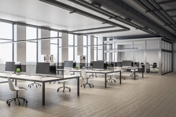 istock Luxury coworking office in classic interior 1249882611