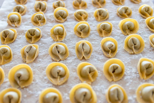 primo piano di pasta fatta in casa (tortellini) - cooked in a row traditional culture indoors foto e immagini stock