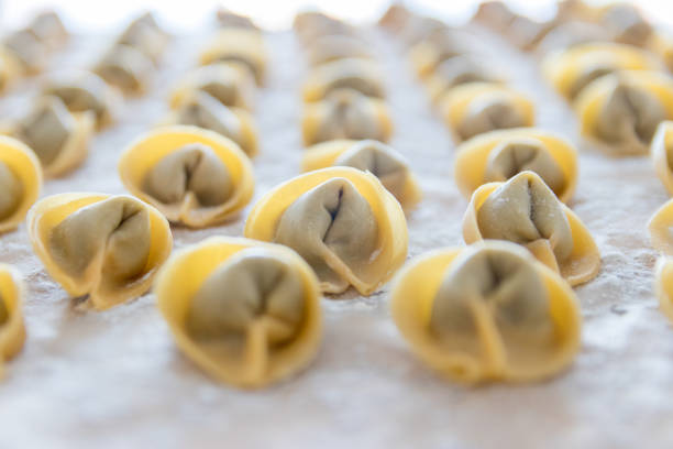 primo piano di pasta fatta in casa (tortellini) - cooked in a row traditional culture indoors foto e immagini stock