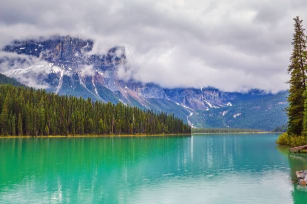 istock Turquoise Water At Emerald Lake 1249883671