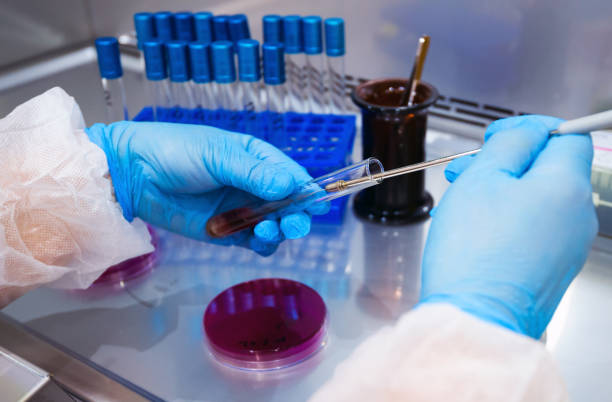 istock Hand Holds Petri Dish with Bacteria Culture 1249884613