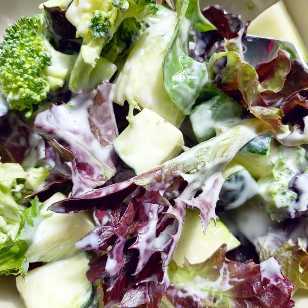 Organic Salad with Broccoli, Zucchini and Yogurt Ranch