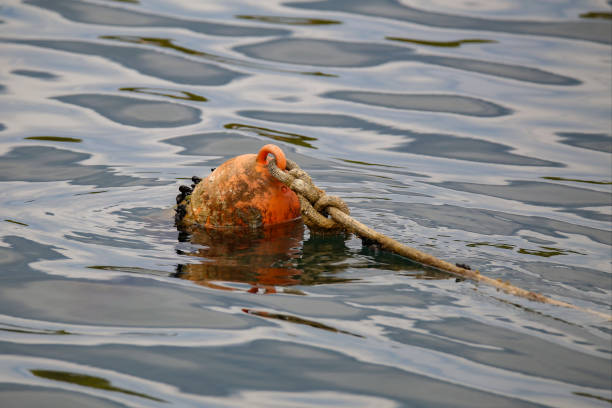 Buoy / A buoy is a floating device that can have many purposes