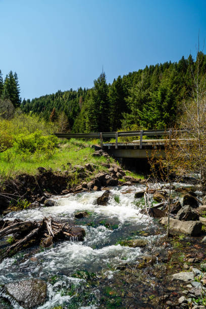 istock Ladd Creek flowing under Ladd Creek Bridge 1249888145