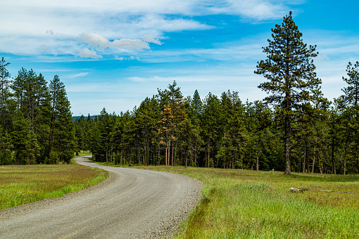 Dirt road passing through Umatilla National Forest in eastern Oregon, USA