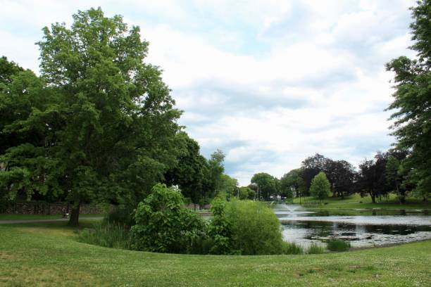 istock the pond at the park 1249888819