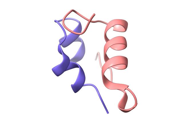 istock A 3D-model of the recombinant human insulin chains A and B 1249888905