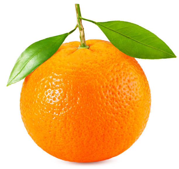 istock Orange with leaves isolated on white 1249888988
