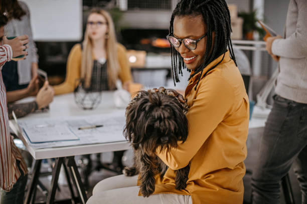 istock Black woman holding a dog in her hands while at office 1249889671