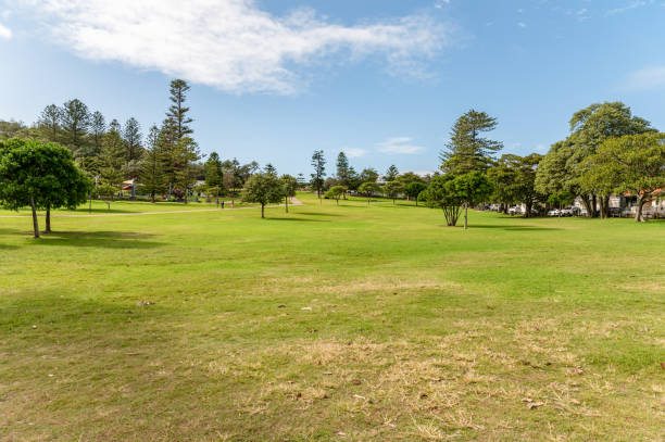 istock Big grass area with Trees in Sydney Eastern Suburbs 1249890771