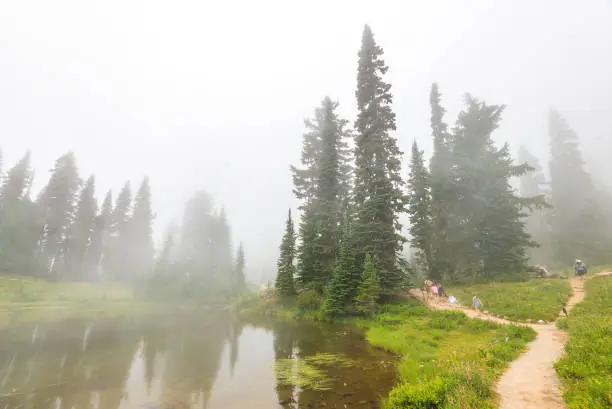 Photo of people,family  walking on path,scenic view of path in the forest,meadow and lake with fog on the day.