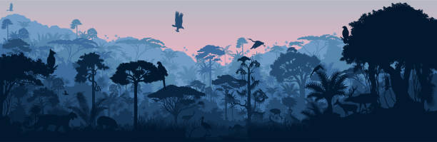 Vector horizontal tropical rainforest Jungle background with animals Vector horizontal tropical rainforest Jungle background with animals javelina stock illustrations