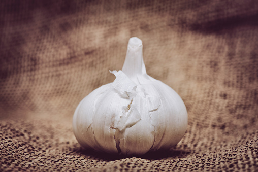 Garlic on burlap background in